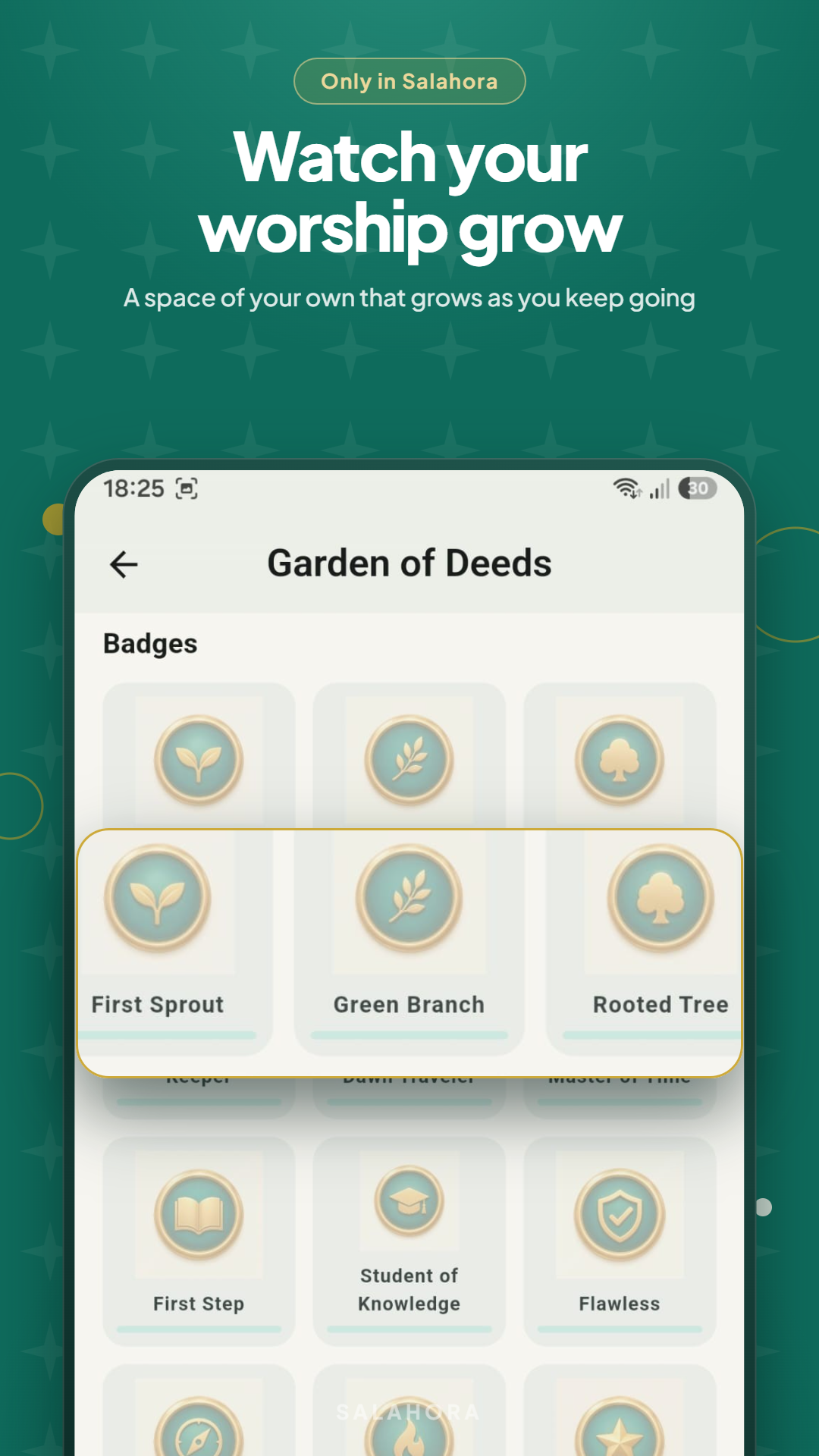 Salahora Garden of Deeds screen showing earned worship badges